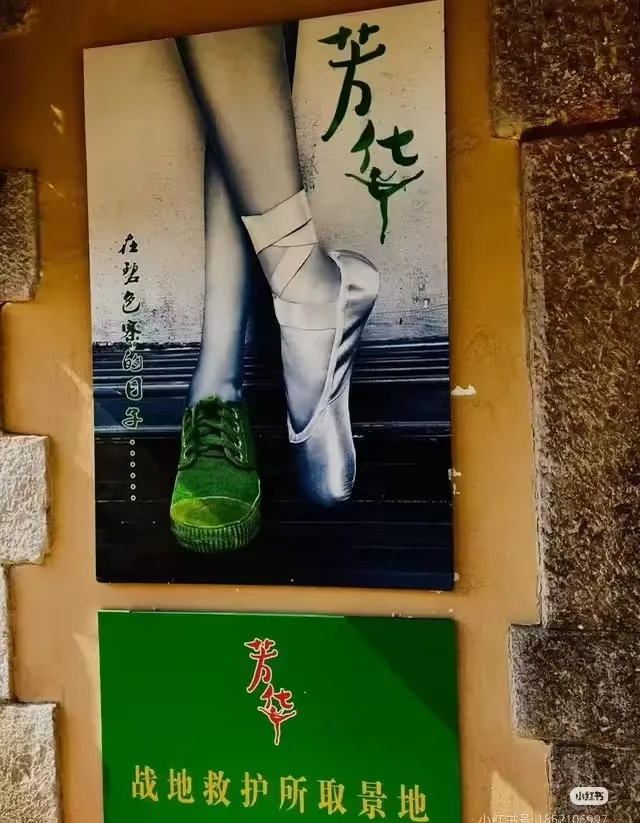 【❤️行摄滇东南 | 深度哀牢山❤️】4280起西昌-攀枝花-蒙自-建水-元阳梯田-抚仙湖-哀牢山-西双版纳品质纯玩专列13日‼️上海始发，一铺到底‼️