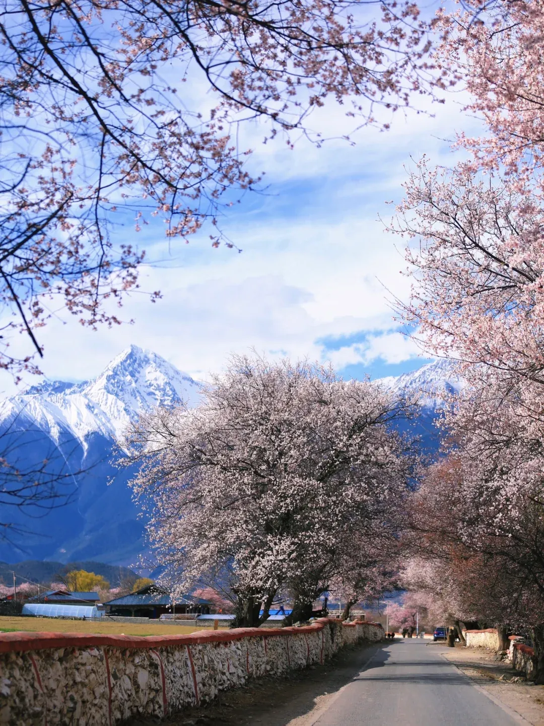 96257d3091e502c15e832c3c766bc538-sz_2876072