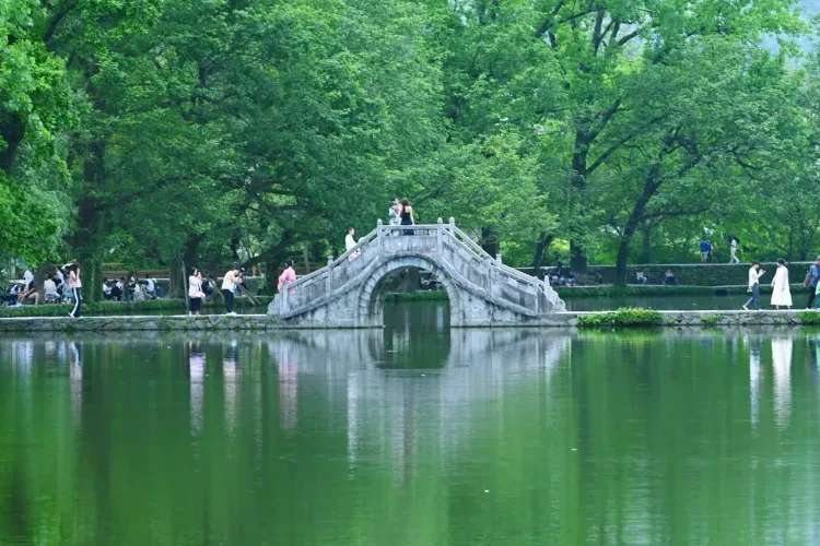 96456521f1225eb2707698be355fd995-sz_3917324