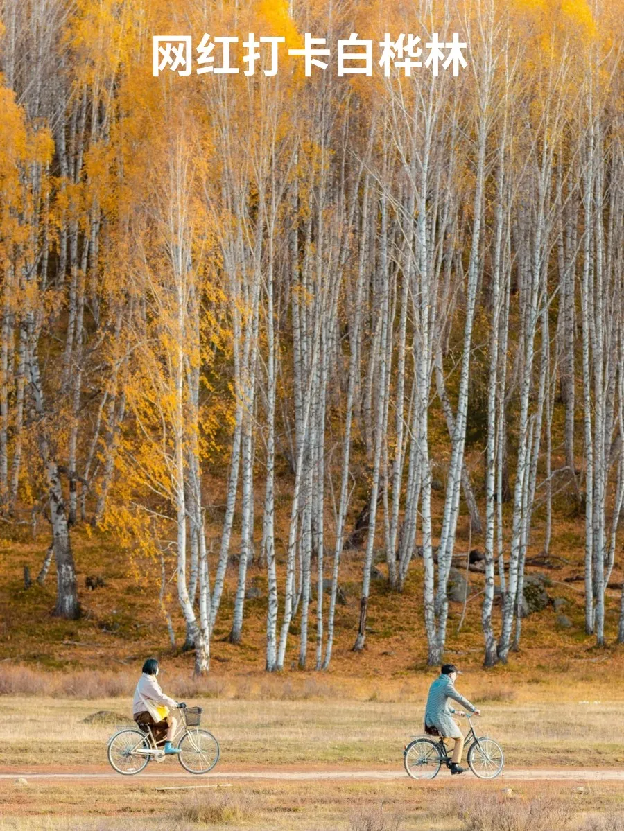 96982a0025d433f6c3058f554cb7a901-sz_406293 96982a0025d433f6c3058f554cb7a901-sz_406293