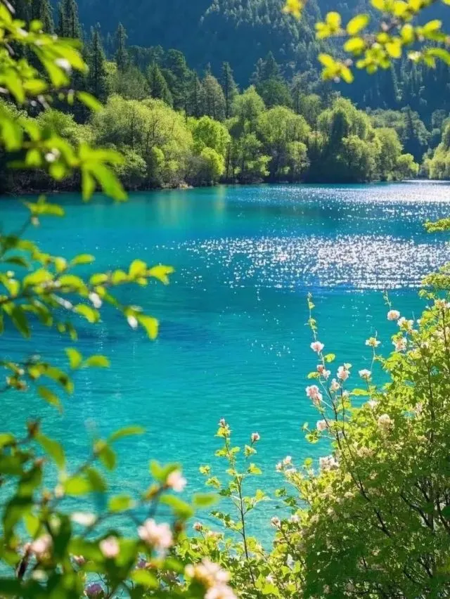 96c442b226297a6aac1606c541c3b40c-sz_126279