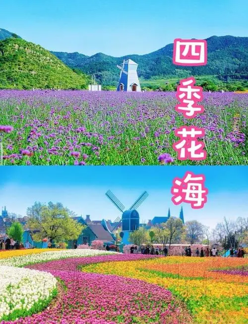 96d89f2f754125d29e5bfae33d259e03-sz_88708