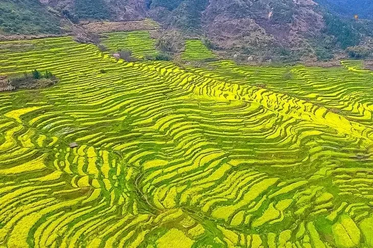 96df6850feff9b7f36cd2945842a0051-sz_150642