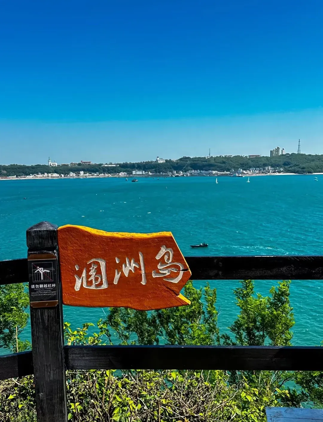 972d5acaeb4cbbed0dbf0715423aafb8-sz_1779358