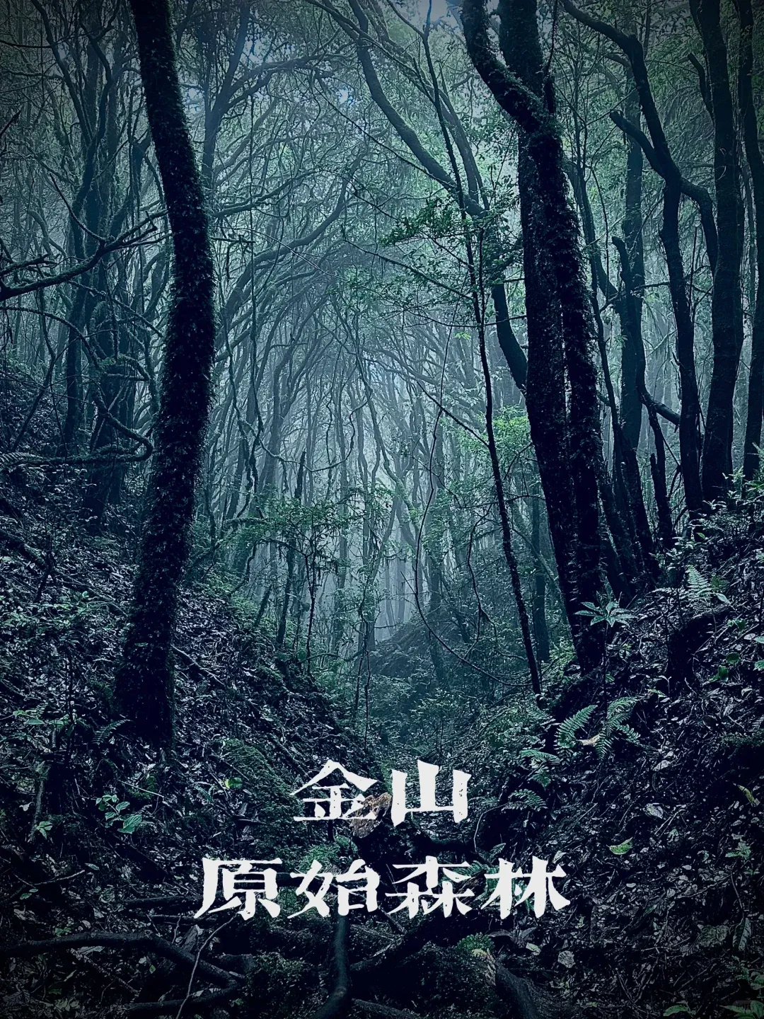 978ca0d8e716c1f118a9b4615de35fcb-sz_3778310-2