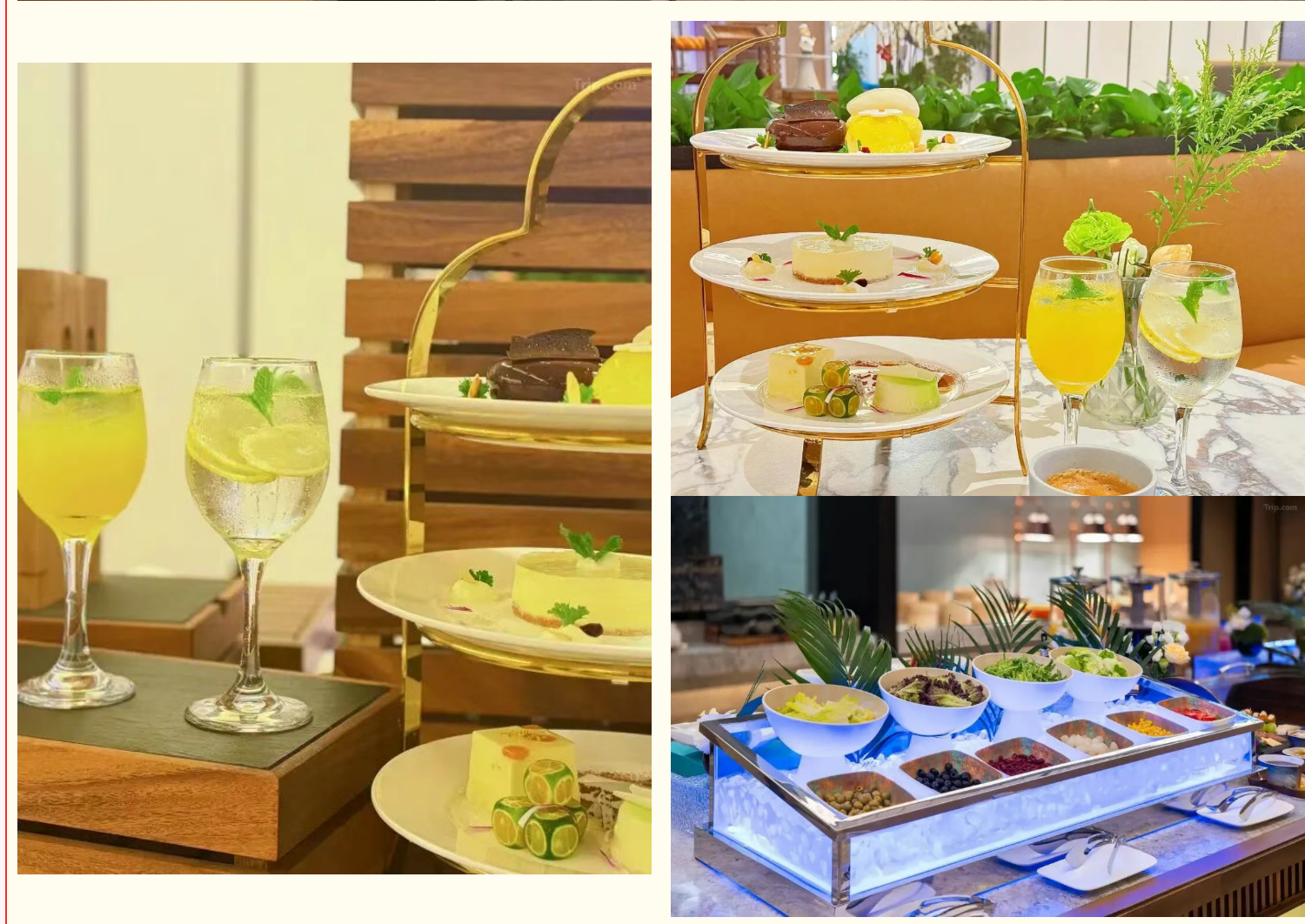 97ccb751ed65c3d81289233f0c324abd