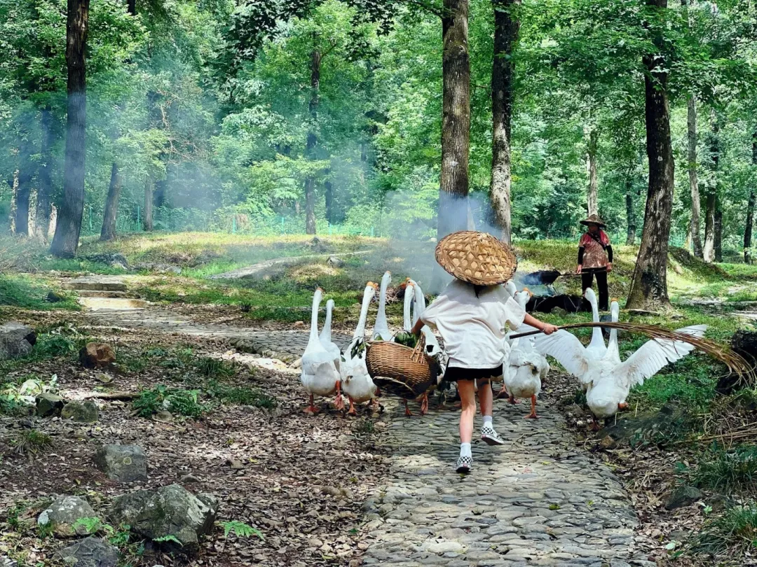 97e08e5b10807b3818f1a673f875a7bd-sz_914342