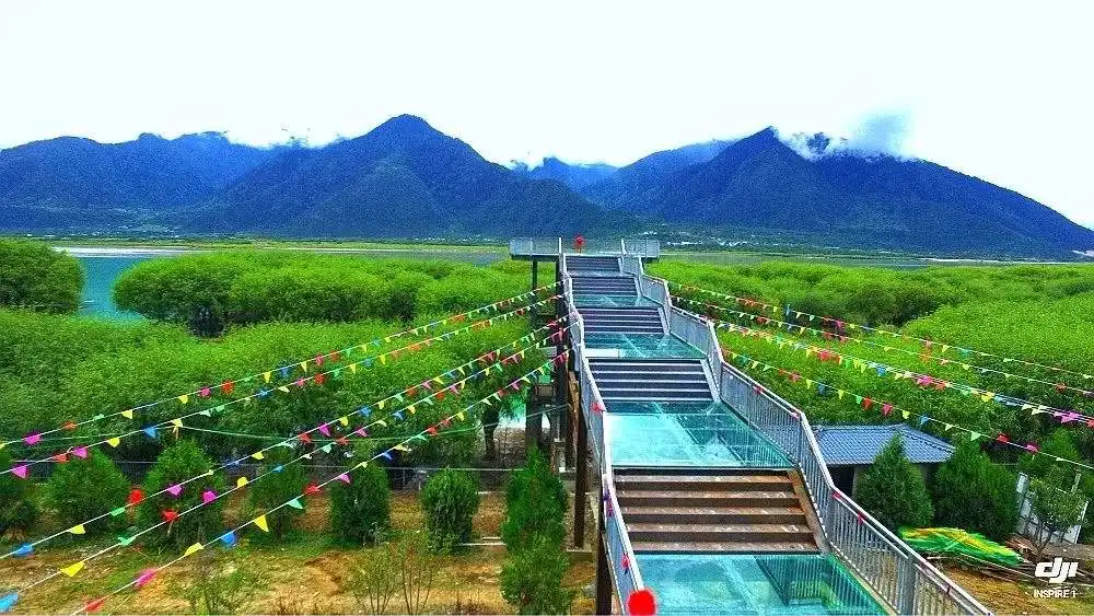 983a909a798af2de29d896b4ad5ca1ef-sz_129547-2