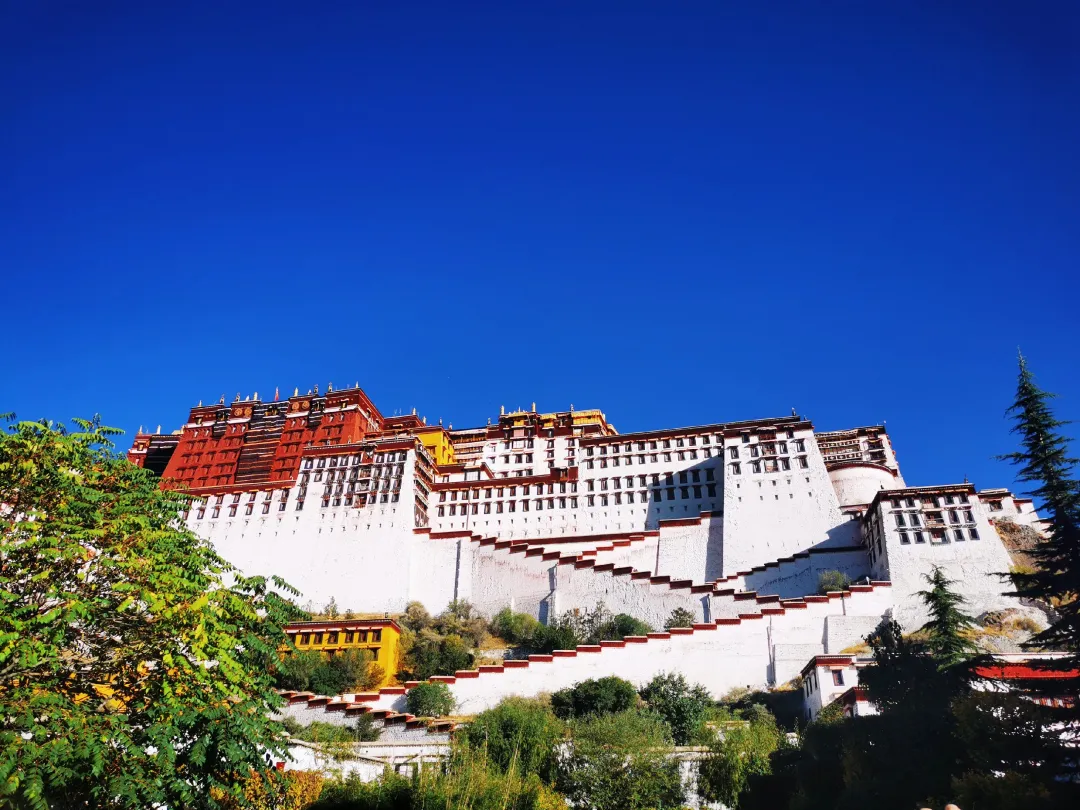 9848f7345c7c1d074938a3fe2994463a-sz_1497237