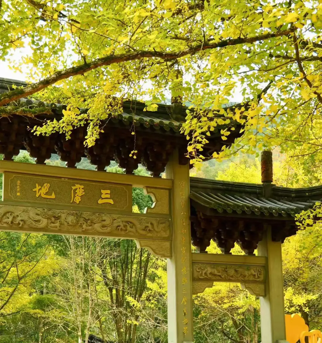 984d9db6e28a1130772930d2ca490e6d-sz_478067