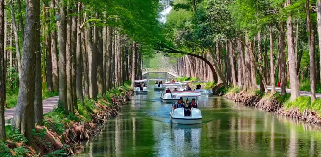 985c80207d4986aeea381e0fe3ff3801-sz_839530