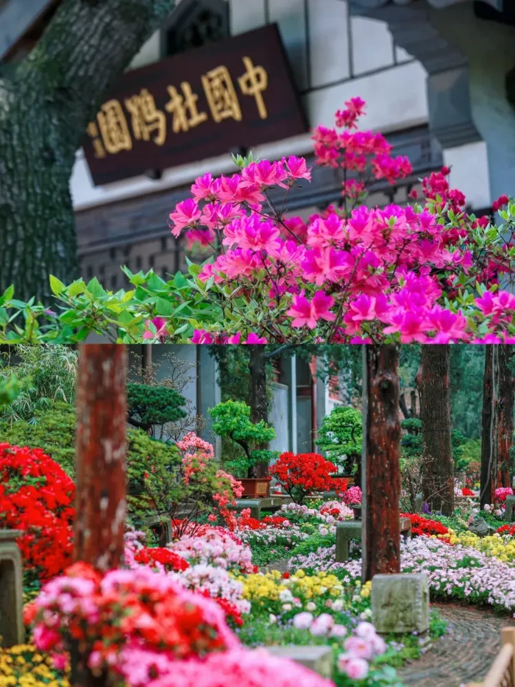 985d657e8b4879f6ba1fa500e72daa37-sz_3719563