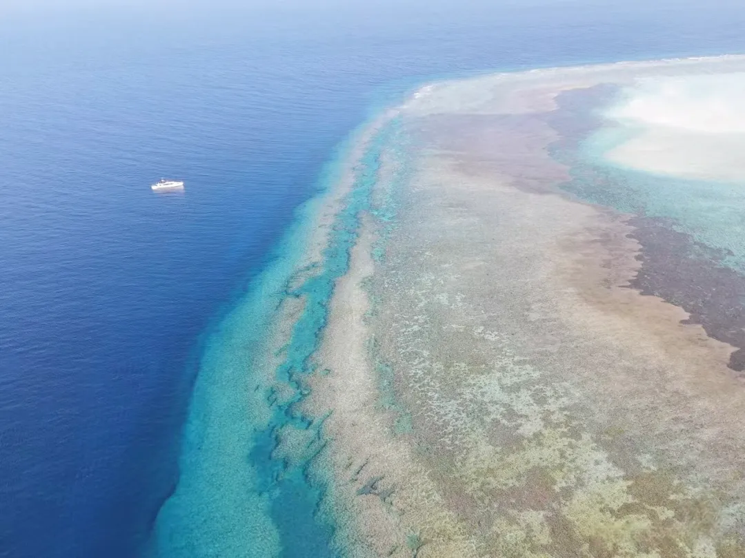 98a6f9fcf08762ffefca5835e5181bd1-sz_1938227-1