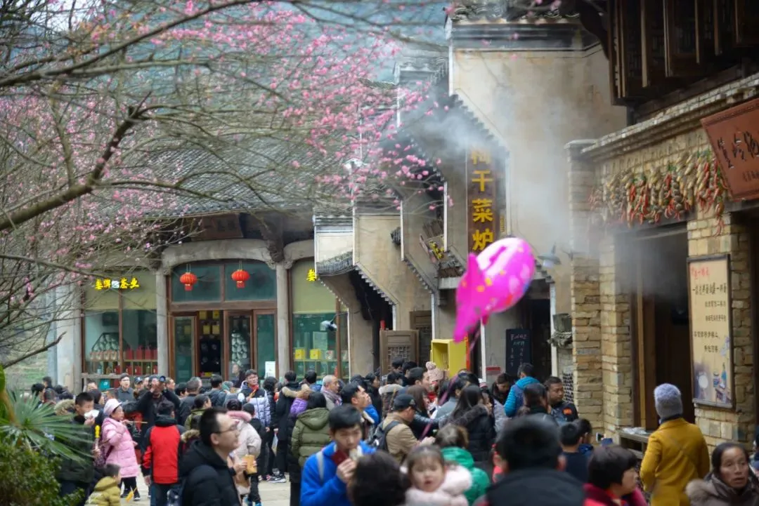 98cab33f10f335efacd9e5c786f21010-sz_157363 98cab33f10f335efacd9e5c786f21010-sz_157363