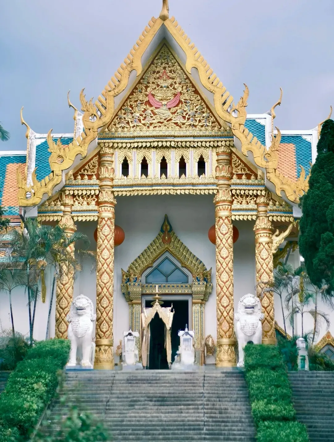 98f0ec721d271b159145533079f043bf-sz_554573