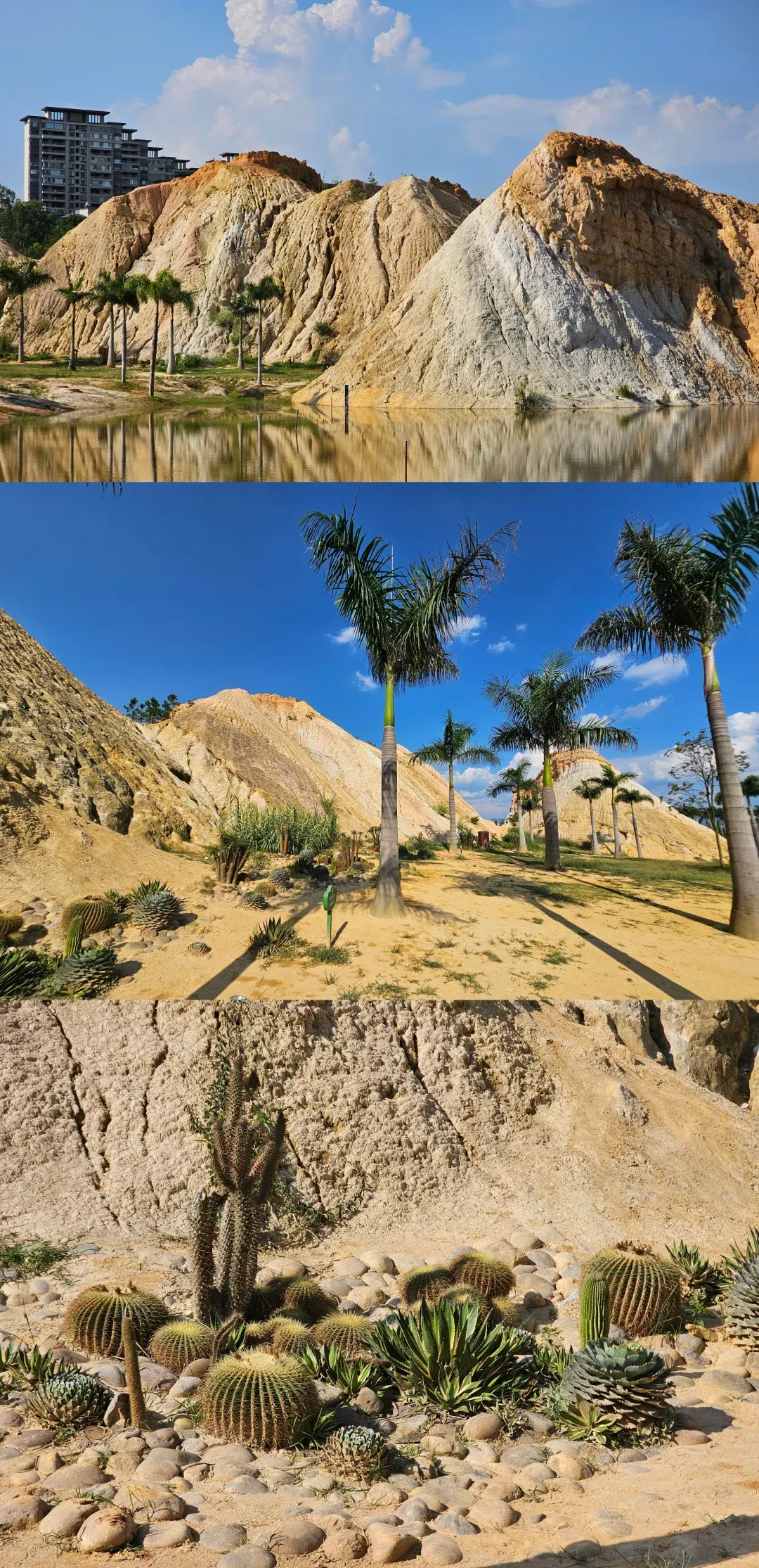 98f564ecd332346de9a689d98af79b8e-sz_5671449