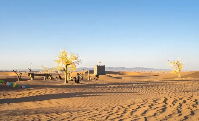 9949ec714c8be65d299a7b1e096bb0c7-sz_413954-1