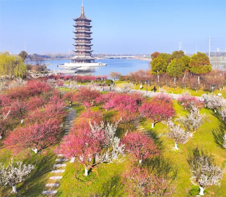 999c3e721f70661d02e9be1553301367-sz_499518 999c3e721f70661d02e9be1553301367-sz_499518