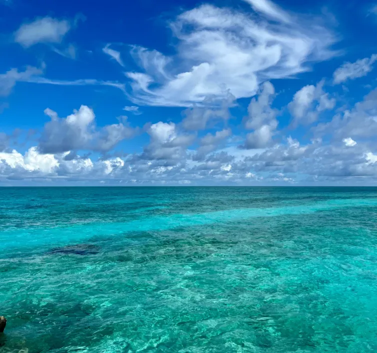 99b03d3ef9309b8e51303e30530b6284-sz_853953