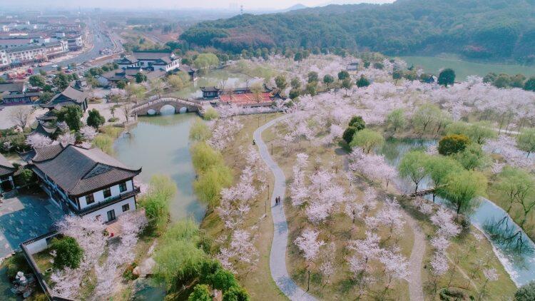 9LL-4ZmKYYh6sx37fw2wnLlxLS0cdb9x