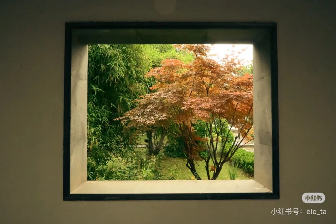 9a017089ae905444bebc60ebbf97ab6f-sz_255377