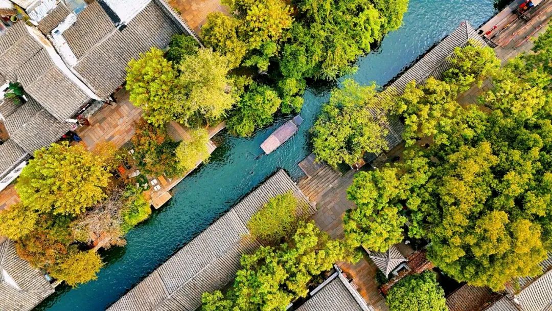 9a56105b8c0baf495416a00e8944e9a3-sz_2952562