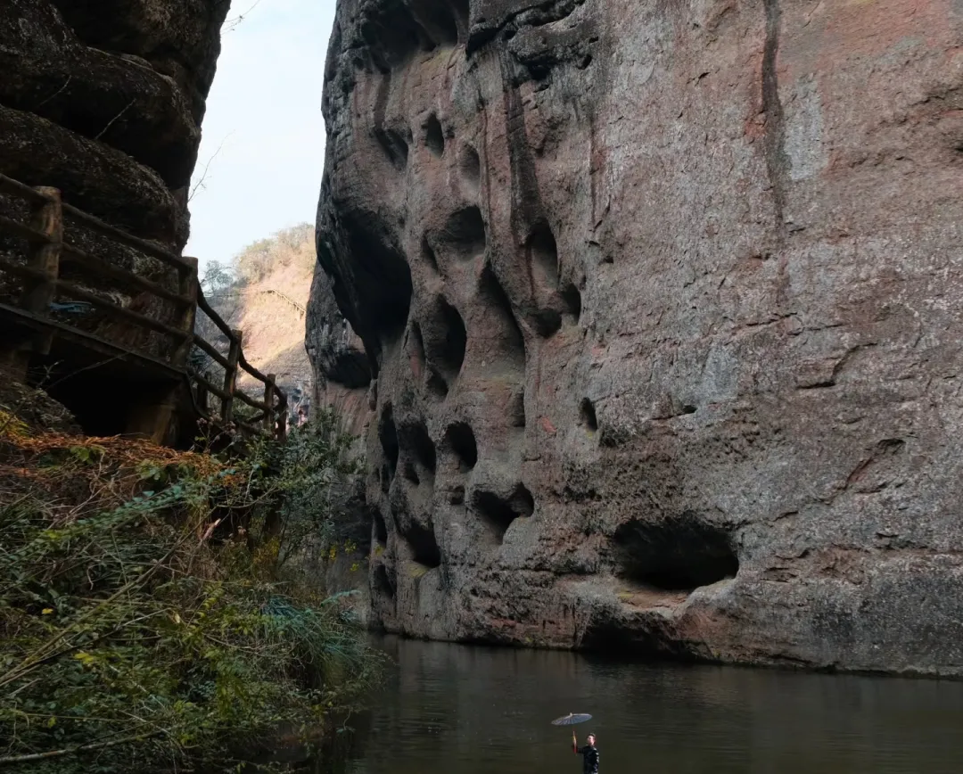 9a7f5ff5335decef6635b5c409595145-sz_1784887