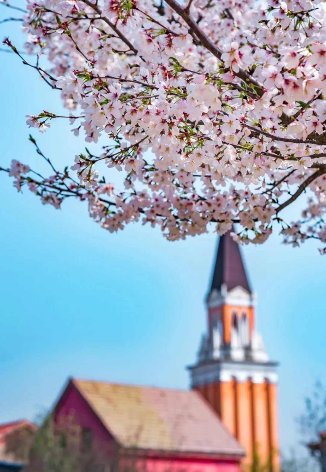 9a852fb952c51d1cbd749d080a0053b9-sz_922628