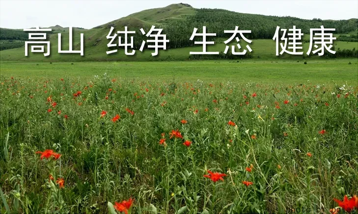 9a945f52222aee22d94a7cc8faeab251-sz_753535