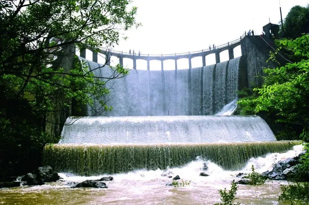 9ac1799c4806aa06ce1d3a9f735ddef0-sz_186857-1