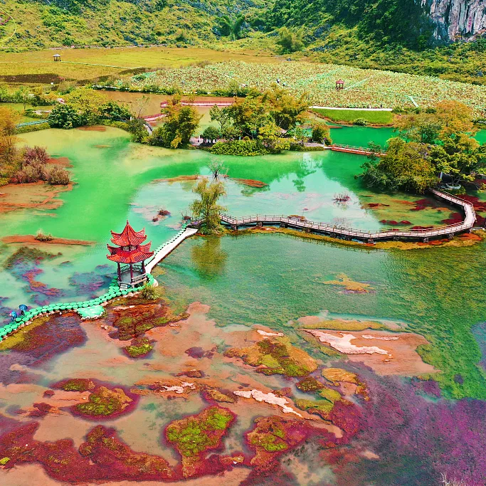 9ac535209ba7aa4764a85dcbd7ad1845-sz_1316773-1