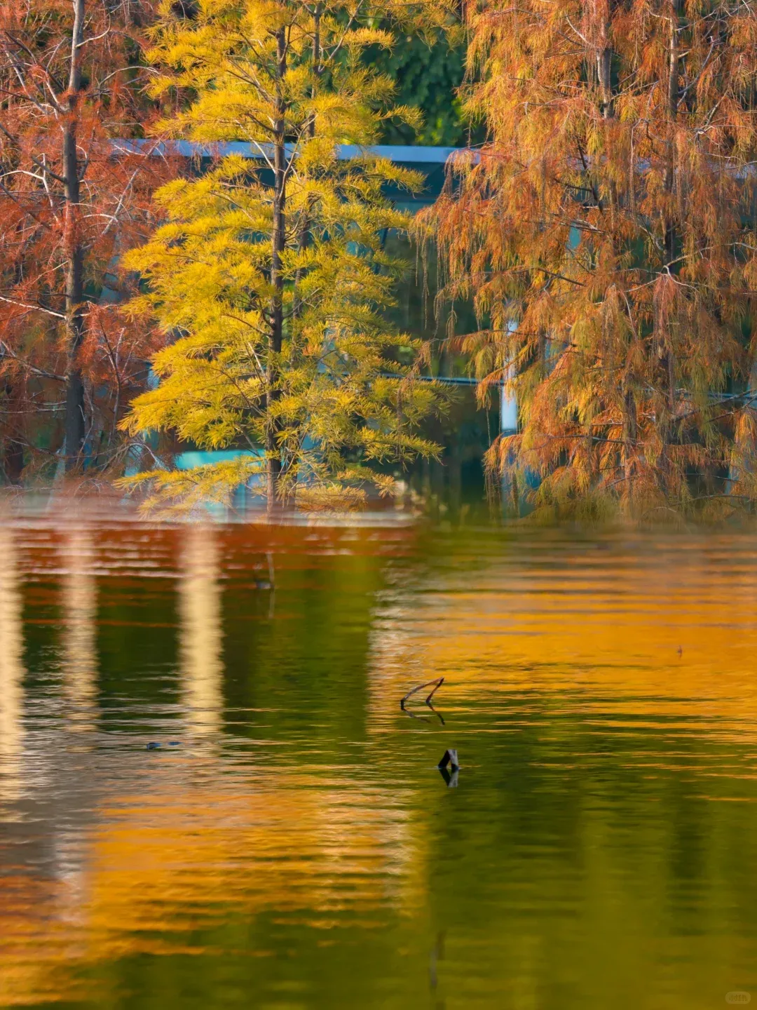 9af1abfb58e83ad8e06c6ba395619069-sz_2568325