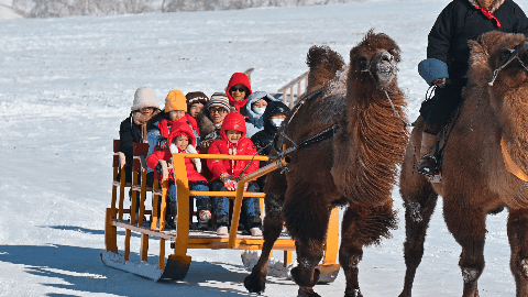 9b2cc8190a1d89d9bf43f6c0270de180-sz_4948226