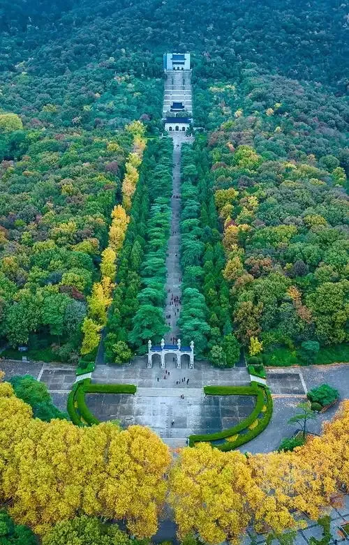 9b49fc37014eebb10a41fc81d77269dc-sz_290340-1