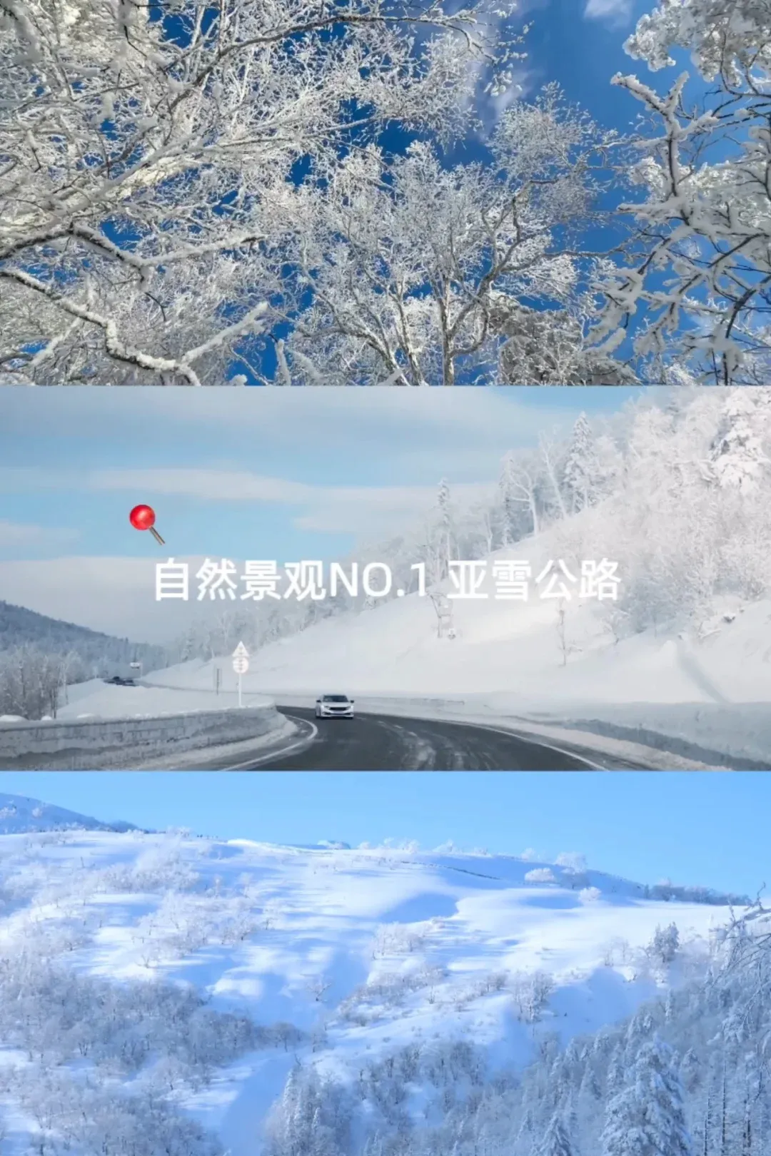 9b88420a12021792be382a4d9bafae3f-sz_2441394