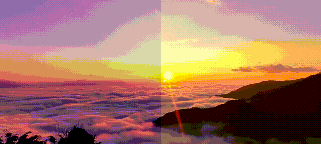 9bf82d585891161dfd45ca4961ebd6e5-sz_3129350-2