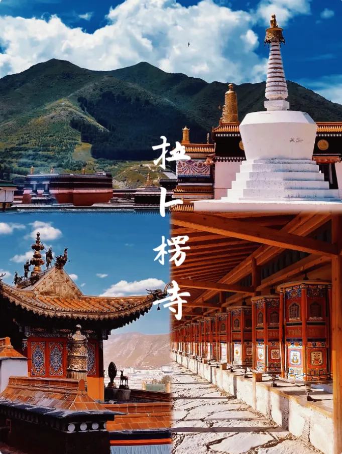 9c488c32d40619add603da559070ed43-sz_971671-1