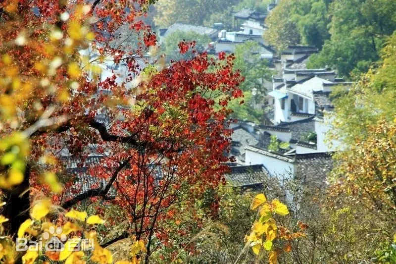 9c4987a5d11ab4fefaf7f056fb304e2c-sz_261215