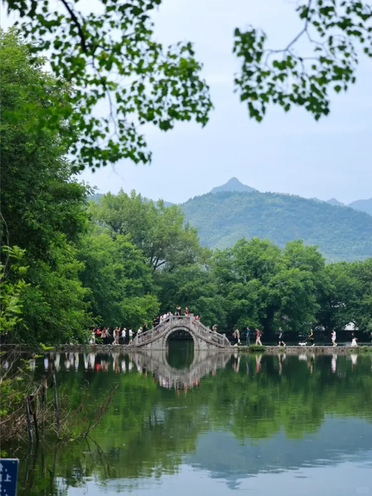 9c95ac34a90c617d1c433a9a2aed42ab-sz_3185770-1