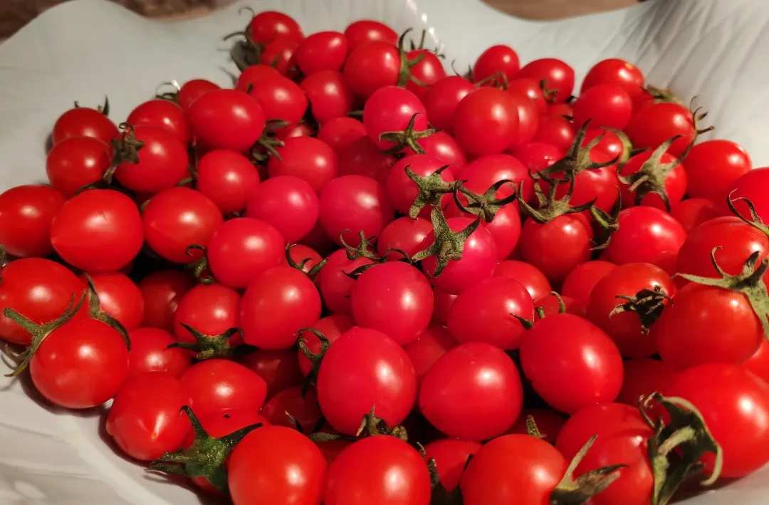 9ca12bf89571cc5082ad1da6b4b3f377-sz_3160277-1