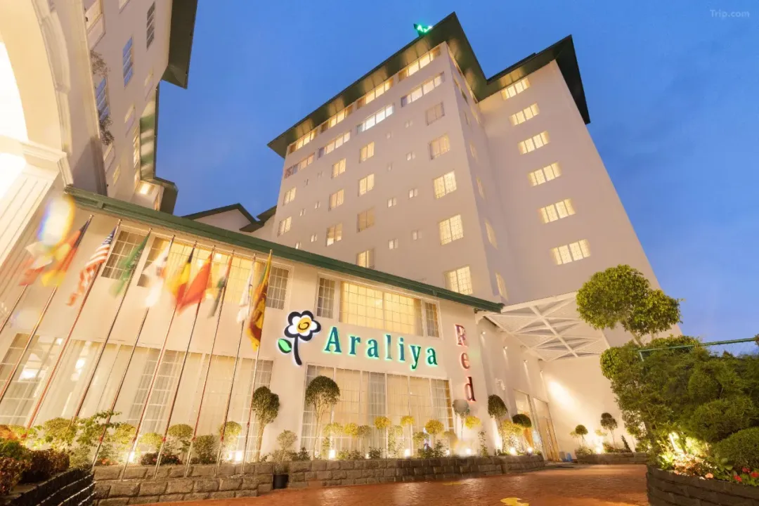 9ce054a5f85fe29987b81dee5ba7bd33-sz_1522440