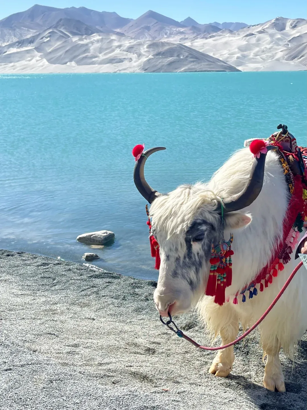 9d1bf7a07f4090531c428918e45b66fe-sz_3008721