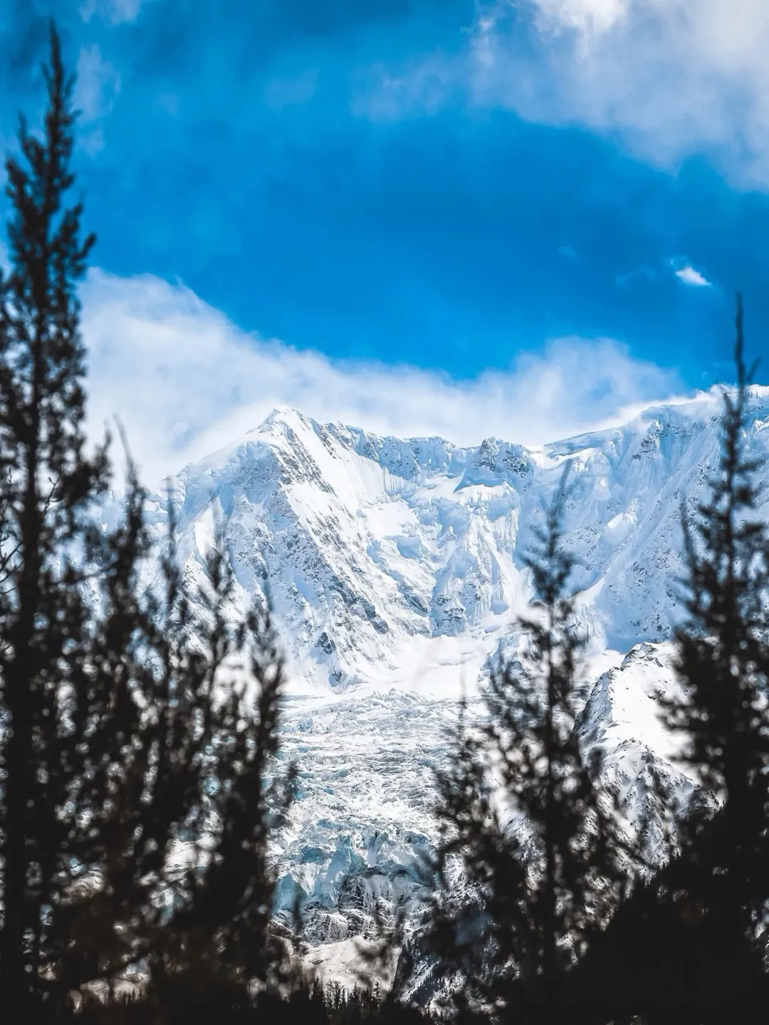 9d38f4559d9deb4894ddde3c647bf345-sz_1848635