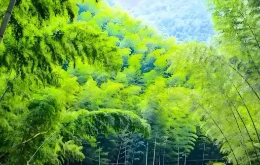 9d53383819be82adc83a7cf78e8c5be5-sz_486694 9d53383819be82adc83a7cf78e8c5be5-sz_486694