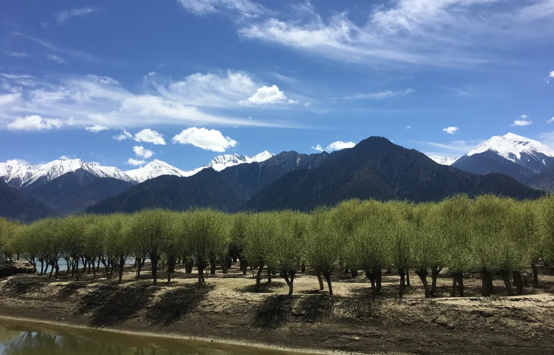 9d566e6675423b1b5c0480db6af3b7cf-sz_3056591