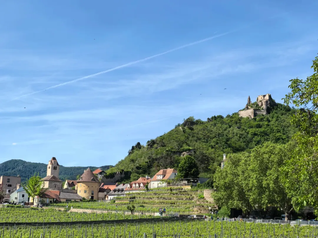 9d78258fc922117f1e7e7f6e4047c0b4-sz_1931818