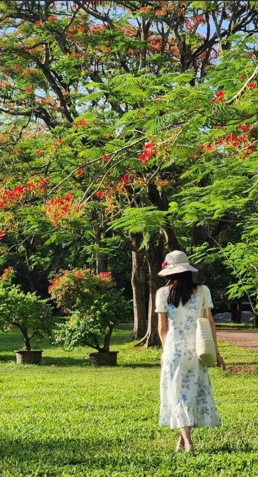 9d78ccf623f0d3ca989a3cc095aa1ad4-sz_1535339