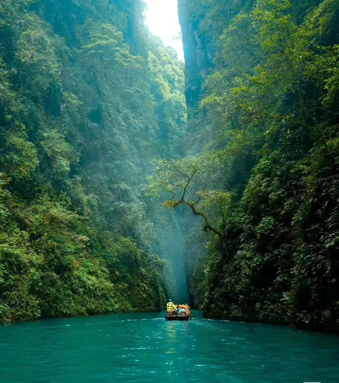 9d85d3c246fae7f683b814b67adcebd8-sz_1260711-1