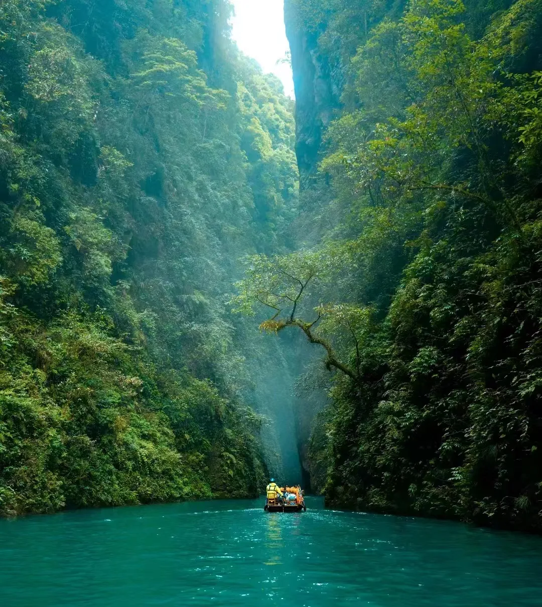 9d85d3c246fae7f683b814b67adcebd8-sz_1260711