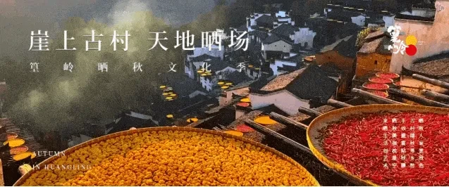 9db25503f3ff0554b081e5365d8ca9c3-sz_277915 9db25503f3ff0554b081e5365d8ca9c3-sz_277915